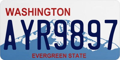WA license plate AYR9897