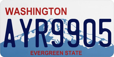 WA license plate AYR9905