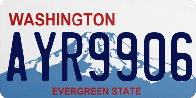 WA license plate AYR9906