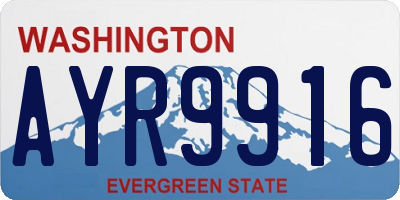 WA license plate AYR9916