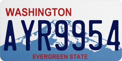 WA license plate AYR9954