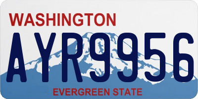 WA license plate AYR9956