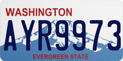 WA license plate AYR9973