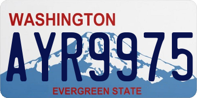 WA license plate AYR9975