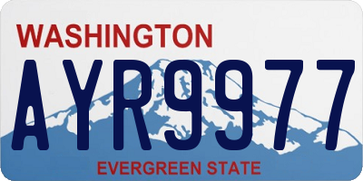 WA license plate AYR9977