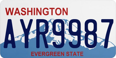 WA license plate AYR9987