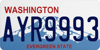 WA license plate AYR9993