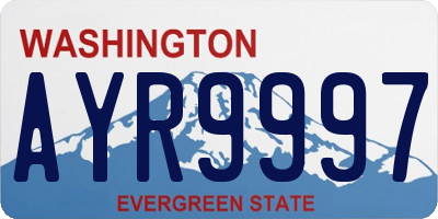WA license plate AYR9997