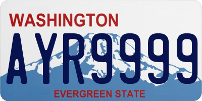 WA license plate AYR9999