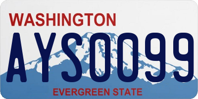 WA license plate AYS0099