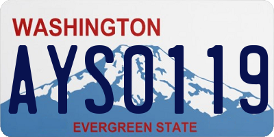 WA license plate AYS0119