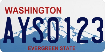 WA license plate AYS0123