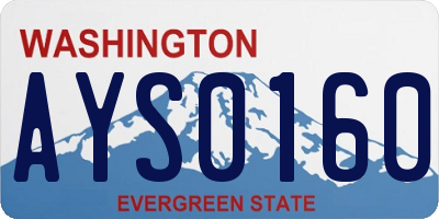 WA license plate AYS0160