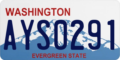 WA license plate AYS0291