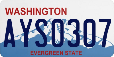 WA license plate AYS0307