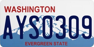 WA license plate AYS0309