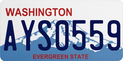 WA license plate AYS0559
