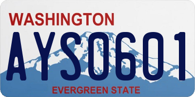 WA license plate AYS0601