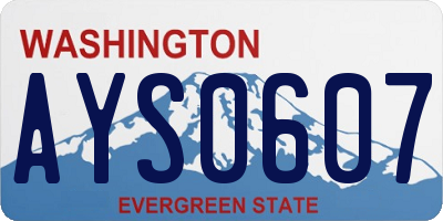 WA license plate AYS0607