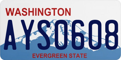 WA license plate AYS0608