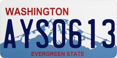 WA license plate AYS0613