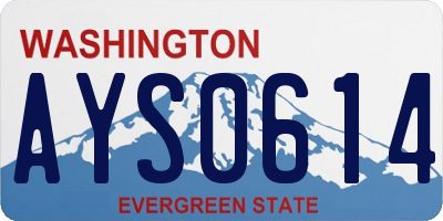 WA license plate AYS0614