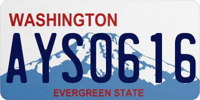 WA license plate AYS0616