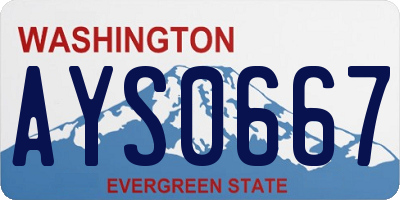 WA license plate AYS0667