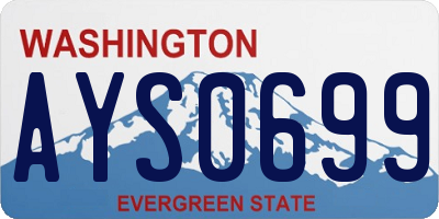 WA license plate AYS0699