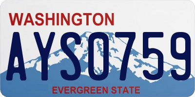 WA license plate AYS0759