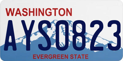 WA license plate AYS0823