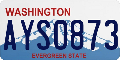 WA license plate AYS0873