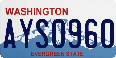 WA license plate AYS0960