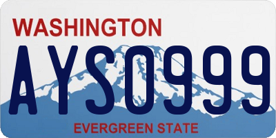 WA license plate AYS0999