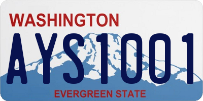 WA license plate AYS1001