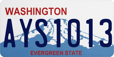 WA license plate AYS1013