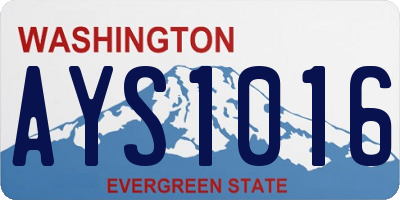 WA license plate AYS1016