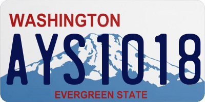 WA license plate AYS1018