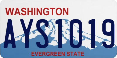 WA license plate AYS1019