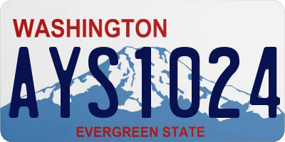 WA license plate AYS1024