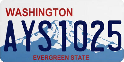WA license plate AYS1025