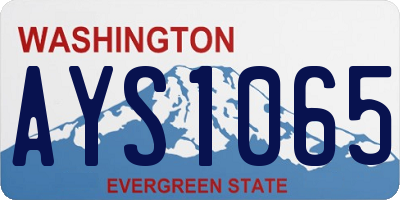 WA license plate AYS1065