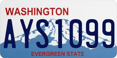 WA license plate AYS1099