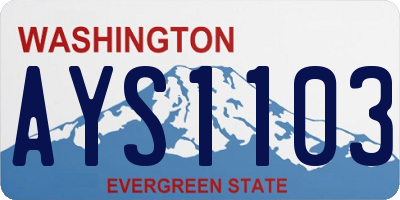 WA license plate AYS1103