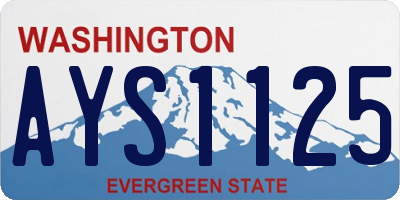 WA license plate AYS1125