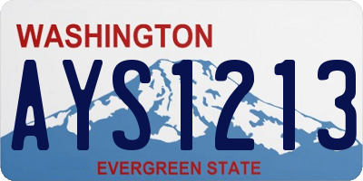 WA license plate AYS1213