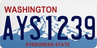 WA license plate AYS1239