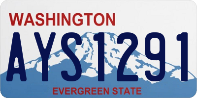 WA license plate AYS1291