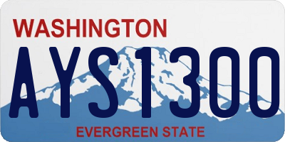 WA license plate AYS1300