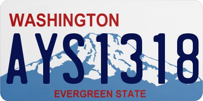 WA license plate AYS1318